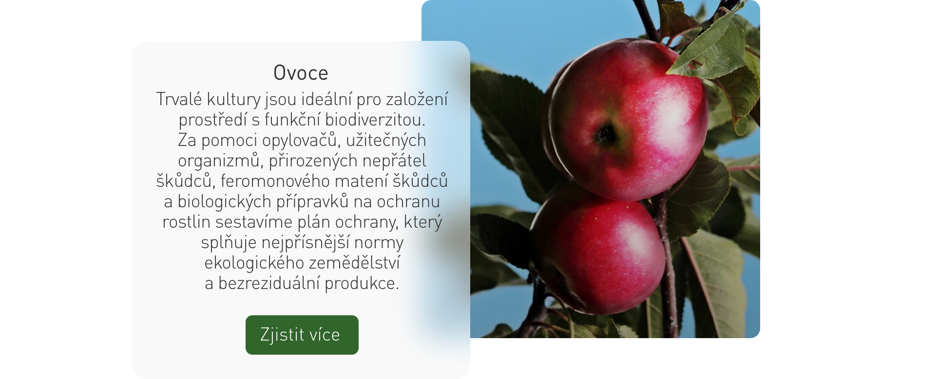 ovoce blok 2